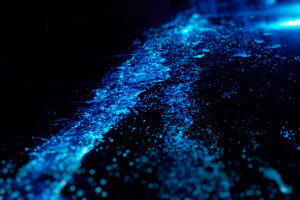 Glowing Waters
